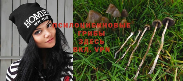 стафф Заводоуковск
