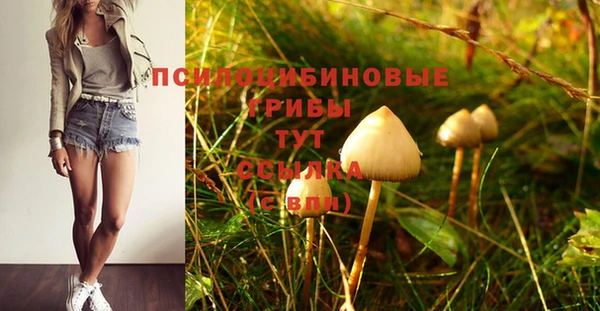 меф Елабуга