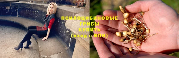 не бодяженный Елизово