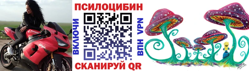 Псилоцибиновые грибы мицелий Инсар