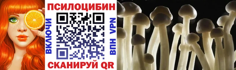 Псилоцибиновые грибы мицелий  купить закладку  Инсар 